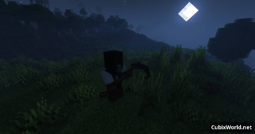 Скриншот мода Cult of the Wither №9